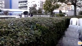 欧美区改名现状_欧美亚洲精品成人视频